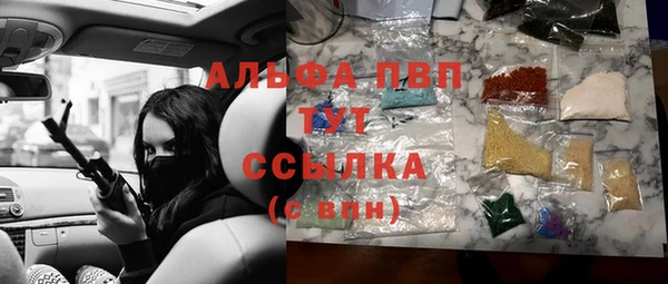 хмурый Арсеньев