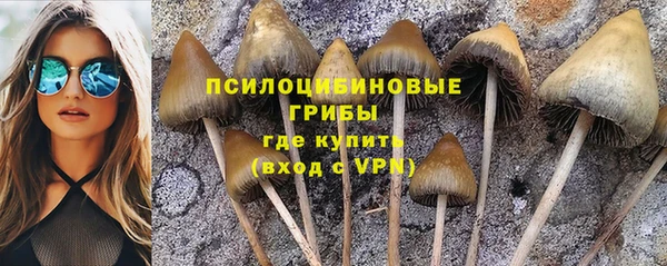 хмурый Арсеньев
