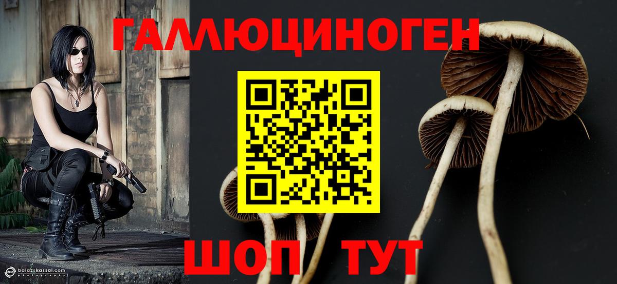Урюпинск  Псилоцибиновые грибы Cubensis  Псилоцибиновые грибы Psilocybine cubensis  Вход с VPN 