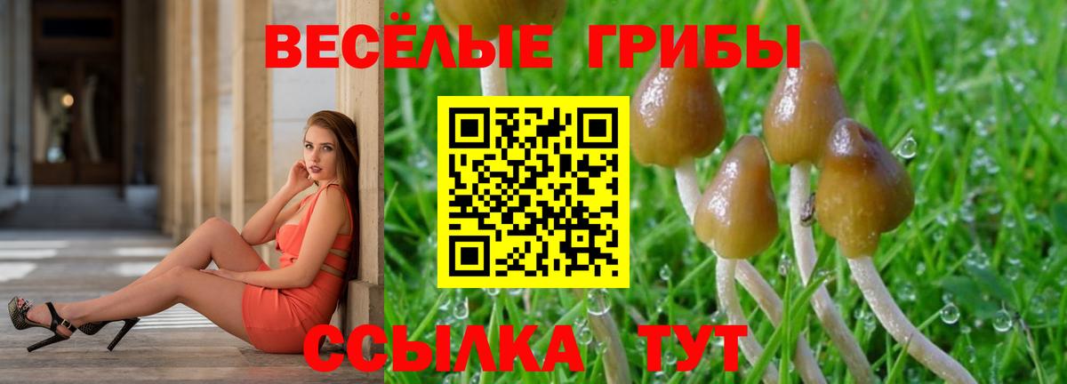 Галлюциногенные грибы мухоморы Урюпинск